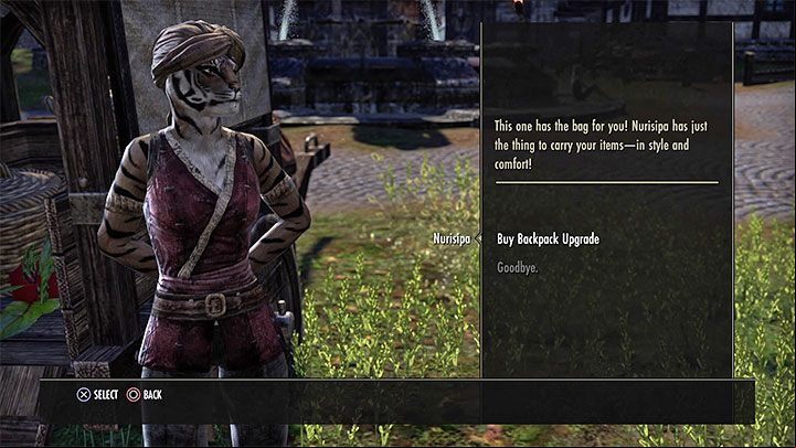 The character inventory in TESO has a limited capacity by default - it is only has 60 slots and it is very easy to reach this limit even though identical disposable items are grouped into single slots - ESO: Best starting tips - Game guide - The Elder Scrolls Online Guide