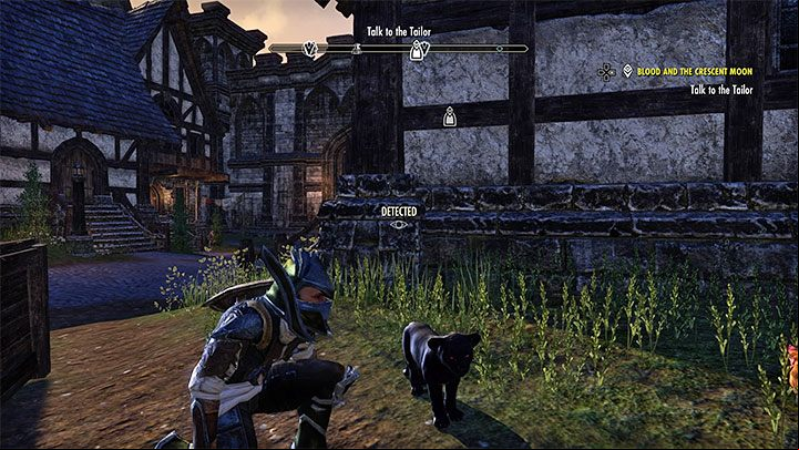The Starter Pack contains the following items - ESO: 500 starter Crowns - what to spend them on? - Starting the game - The Elder Scrolls Online Guide
