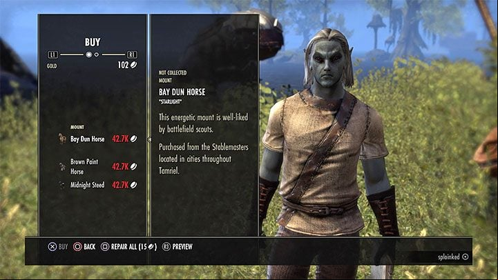 You must always speak to the owner of the stables and express your desire to buy a mount - ESO: Mounts - how to get a horse? - Game guide - The Elder Scrolls Online Guide