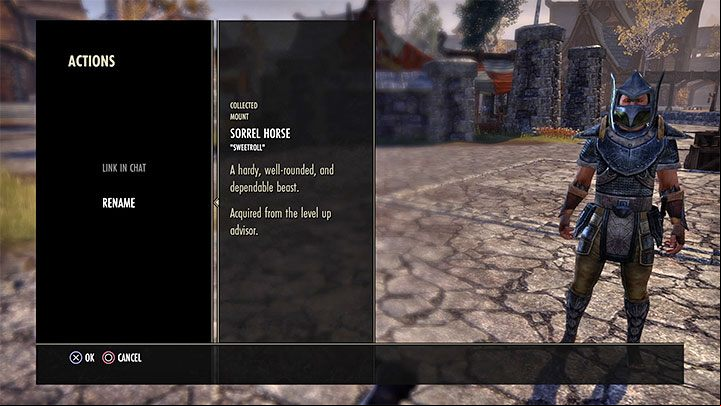 Each mount in the game, in addition to a name indicating its breed, type and species, can also have its own unique name - ESO: Mounts - how to get a horse? - Game guide - The Elder Scrolls Online Guide