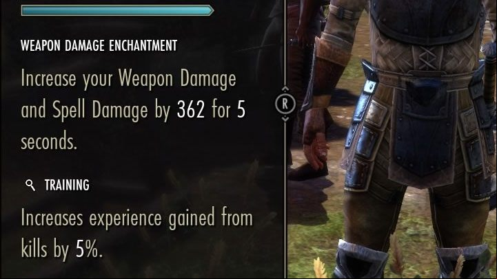 Another very good way is to use the items of the equipment that increase the amount of xp received - ESO: XP - how to level up faster? - Game guide - The Elder Scrolls Online Guide