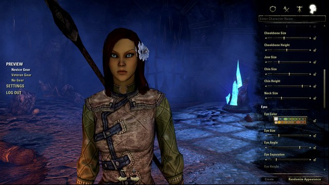Your heros looks - ESO: The Hero - ESO in 10 Easy Steps - The Elder Scrolls Online Guide