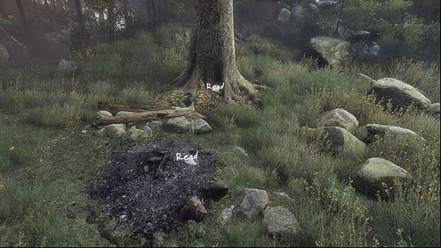 After you read the story, you return to the previous version of the mead - Traps and skulls | Walkthrough - Walkthrough - The Vanishing of Ethan Carter Game Guide & Walkthrough