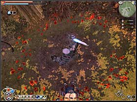 19 - Silver Keys | Basics - Basics - Fable: The Lost Chapters Game Guide