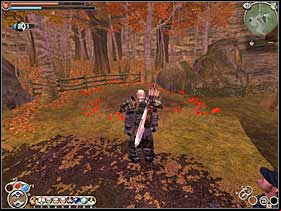 20 - Silver Keys | Basics - Basics - Fable: The Lost Chapters Game Guide