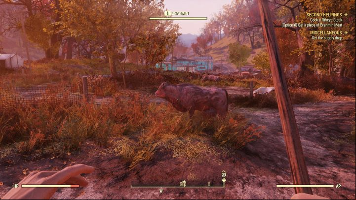 Brahmins arent dangerous and they dont deal any damage. - Second Helpings - Fallout 76 Walkthrough - Main missions - Fallout 76 Guide