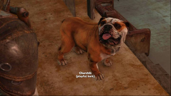 In the game you won't find a distinct animation for petting a dog - Fallout London: How to adopt Churchill? - Factions and companions - Fallout London Guide
