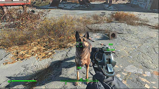 Find the dog and talk to the animal - Fallout 4: How to add Dogmeat as a companion? - FAQ - Fallout 4 Game Guide & Walkthrough