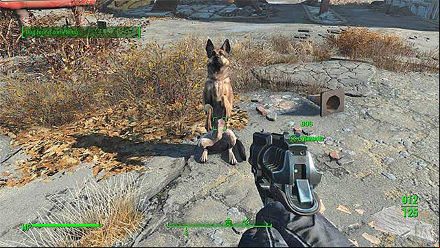 Dogmeat is a German shepherd and he can your team as one of the first companions - Fallout 4: All companions - Basics - Fallout 4 Game Guide & Walkthrough