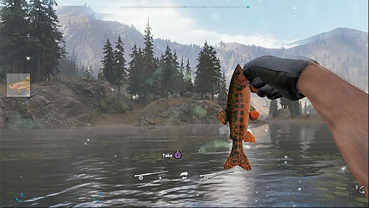 In the Henbane River region, you will catch fish such as the Largemouth Bass, Rainbow Trout and Lake Trout - Fish and fishing spots in Henbane River - Map - Fish and fishing spots - Far Cry 5 Game Guide