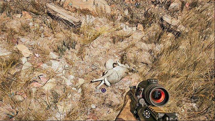 Dont forget to skin a killed rabbit to complete the related challenge which is worth 2 perk points - How to hunt down a rabbit in Far Cry 5? - FAQ - Far Cry 5 Game Guide