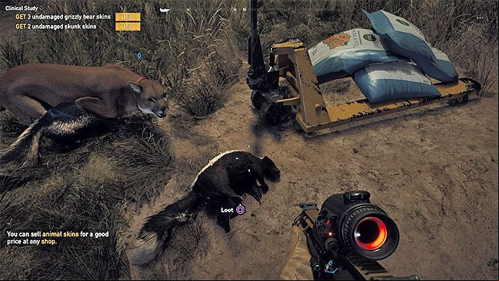 It is a very simple task, because skunks took part in the battle on the farm - Clinical Study in Far Cry 5 - Henbane River - Far Cry 5 Game Guide