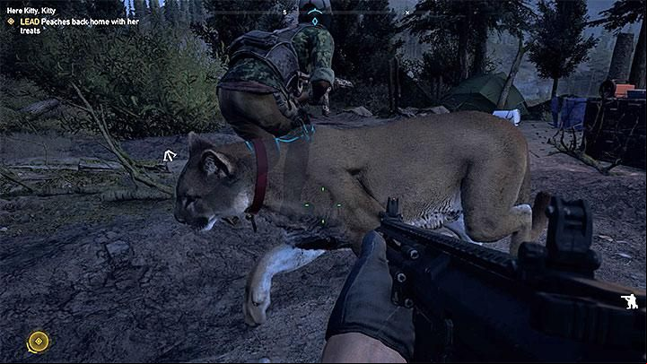 After you reach the taxidermy, Miss Mable will task you with a storyline mission Here, Kitty, Kitty - Specialists in Far Cry 5 (Companions) - Guidebook - Far Cry 5 Game Guide