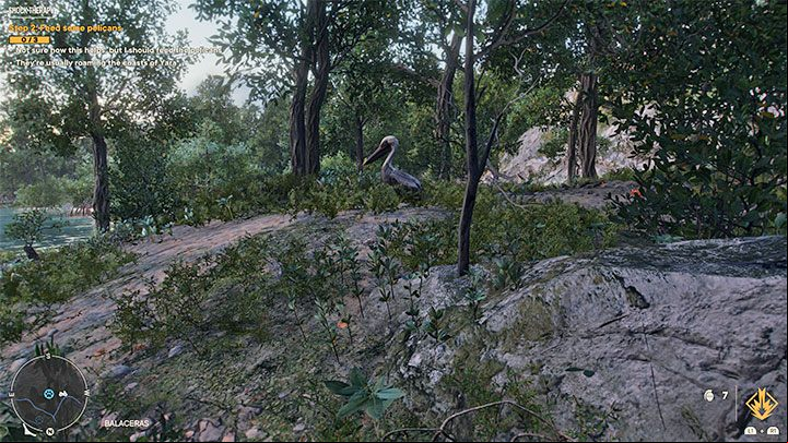For the second challenge, you must feed 3 pelicans with the fish you catch - Far Cry 6: Shock Therapy - walkthrough - Valle De Oro - Far Cry 6 Guide