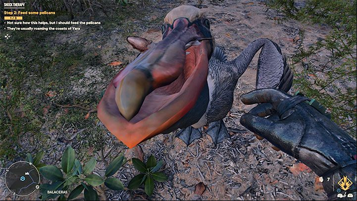 Avoid attacking pelicans, of course, and also ignore pelicans that float on water - Far Cry 6: Shock Therapy - walkthrough - Valle De Oro - Far Cry 6 Guide