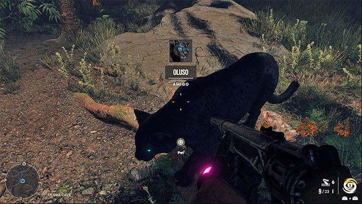 After defeating Oluso, you must resurrect the animal - Far Cry 6: Oluso - Amigo - Amigos - pets - Far Cry 6 Guide