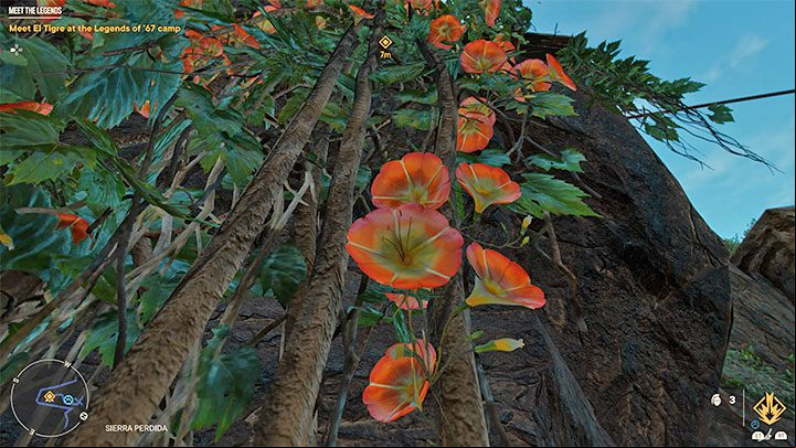 Another new mechanic not present in previous main missions (though appearing in optional quests) is climbing lianas - Far Cry 6: Meet the Legends - walkthrough - Operations - El Este - Far Cry 6 Guide