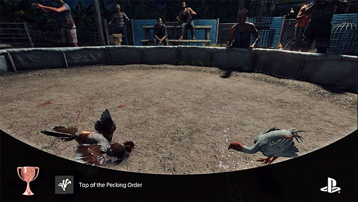 How to unlock: Win a Cockfighting match - Far Cry 6: Trophies/Achievements - list - Trophy Guide - Far Cry 6 Guide