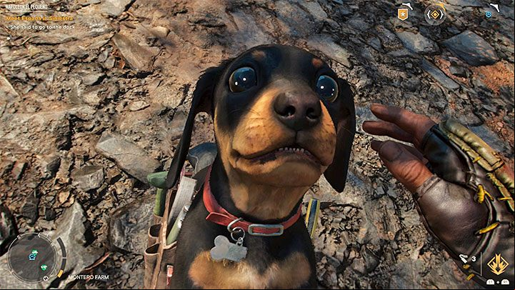 You'll encounter many dogs while playing through Far Cry 6 and you can befriend some of them - Far Cry 6: Killing dogs - is it mandatory? - FAQ - Far Cry 6 Guide