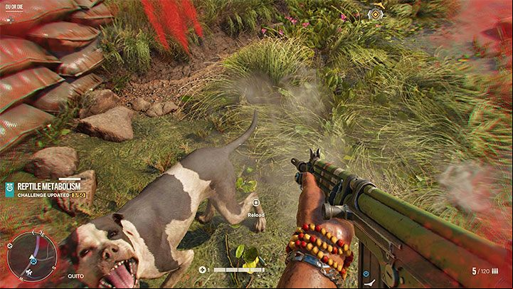 Unfortunately, you'll often encounter hostile dogs who'll try to maul you to death - Far Cry 6: Killing dogs - is it mandatory? - FAQ - Far Cry 6 Guide
