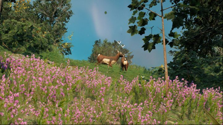 For the purposes of this chapter, the game has been marked with a red colour, the fish with a blue colour, and the birds with a green colour - Game & Fish - World Atlas - Far Cry New Dawn Guide