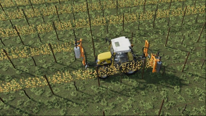 Grapes, however, require removing the dried leaves and branches after harvesting the fruits - Farming Simulator 22: Fruit-growing - Orchards & greenhouses - Farming Simulator 22 Guide