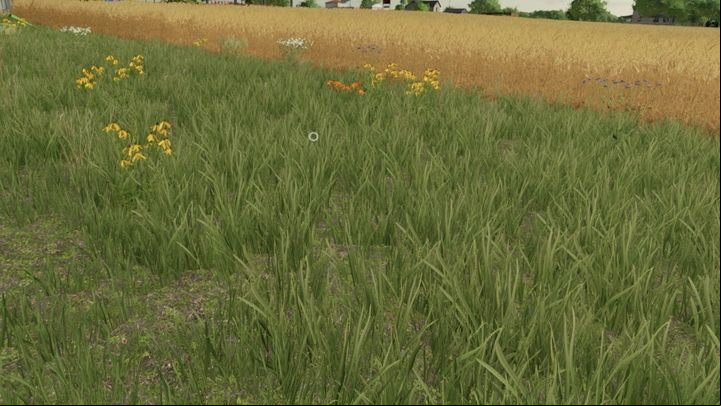 A critical solution which also significantly affects the game's performance is completely turning off the shadows for plants: grass and bushes (trees will still cast them) - Farming simulator 22: How to fix flickering shadows? - FAQ - Farming Simulator 22 Guide