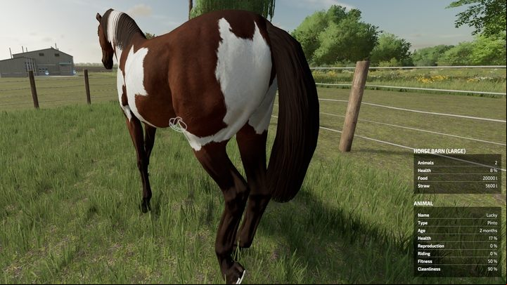 After riding, the horse is dirty - the parameter responsible for this is called Cleanliness - Farming Simulator 22: Horses - breeding, tips - Breeding - Farming Simulator 22 Guide