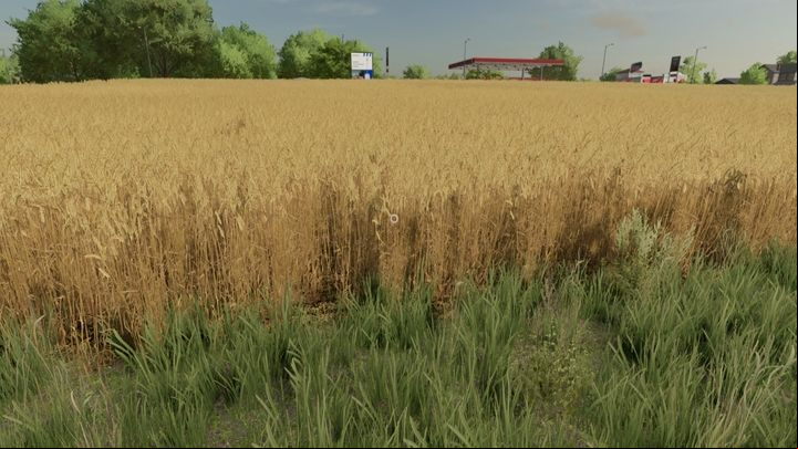 Wheat in of parameters, yields and prices is close to barley - Farming Simulator 22: Grains - wheat, oats, barley, sorghum - Field work - Farming Simulator 22 Guide