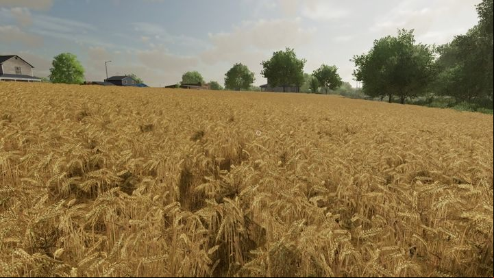 Barley is similar to wheat - Farming Simulator 22: Grains - wheat, oats, barley, sorghum - Field work - Farming Simulator 22 Guide