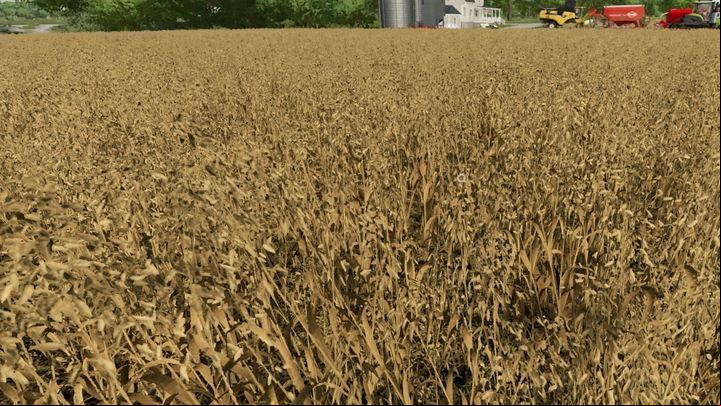 Oats are worth sowing especially when you have horses - this is their main food - Farming Simulator 22: Grains - wheat, oats, barley, sorghum - Field work - Farming Simulator 22 Guide