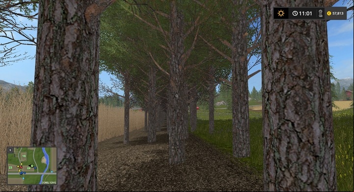 Youll find a nice forest after a few days. - Planting Trees and Poplars - Forestry basics - Farming Simulator 17 Game Guide