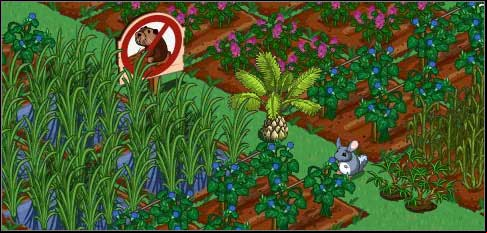 Nature calls ... - Seeds - Crops for advanced farmers - FarmVille - Game Guide and Walkthrough