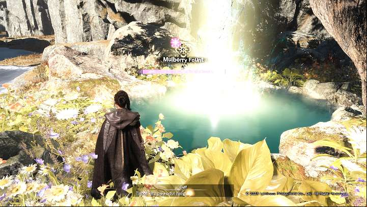 Founts of Blessing (example in the screenshot above) are special wells where Frey can learn a new skill free of charge - Forspoken: Beginners Guide - Basics - Forspoken Guide