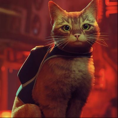 Stray Guide, Walkthrough