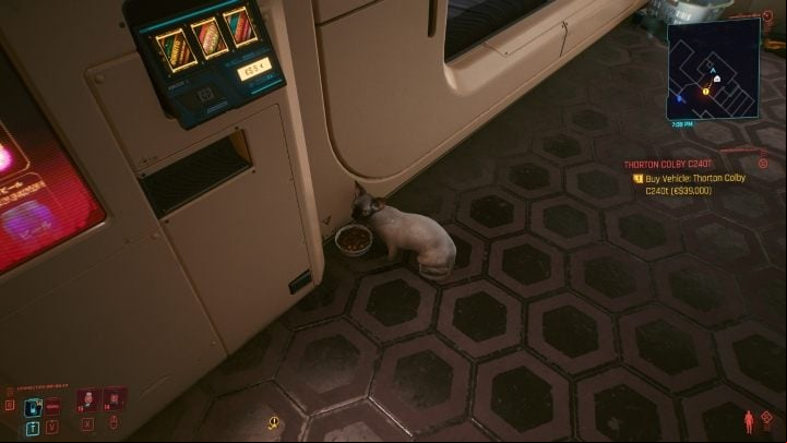 It's worth noting that in Cyberpunk 2077 you can get a pet cat that will live in your apartment - Cyberpunk 2077: Vs Apartment - Basics - Cyberpunk 2077 Guide
