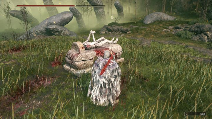 8 - Shadow of the Erdtree: How to duplicate Remembrances in DLC? All Coffins map - FAQ - Elden Ring Guide
