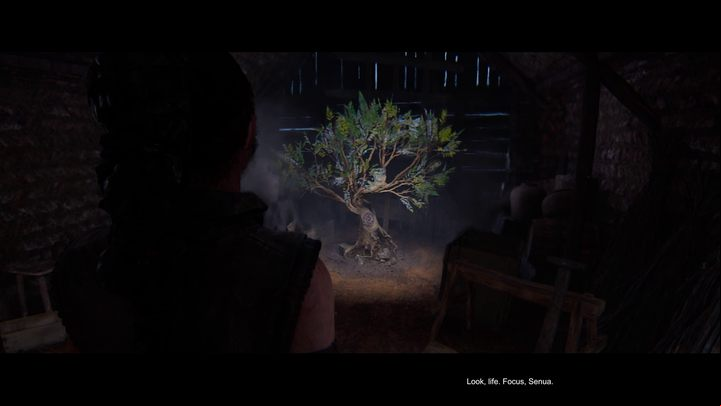 11 - Hellblade 2: Freyslaug Chapter 2 - Walkthrough - Hellblade 2 Senuas Saga Guide