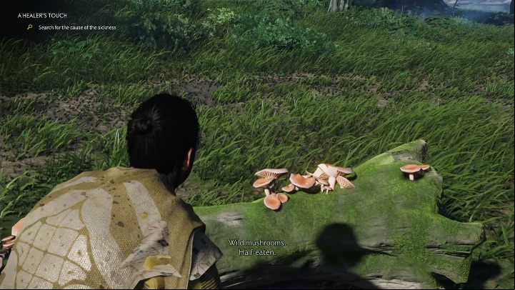 There are some wild mushrooms growing outside - Ghost of Tsushima: A Healers Touch walkthrough, Tales of Tsushima - Other tales - Ghost of Tsushima Guide, Walkthrough