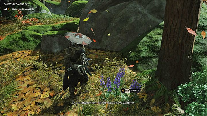 Purple flowers to get more poison darts - Ghost of Tsushima: How to get Blowgun? - Character development and equipment - Ghost of Tsushima Guide, Walkthrough