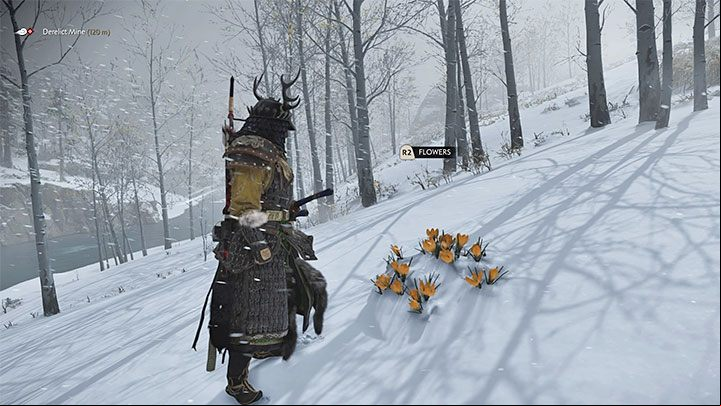 Orange flowers to get more hallucination darts - Ghost of Tsushima: How to get Blowgun? - Character development and equipment - Ghost of Tsushima Guide, Walkthrough