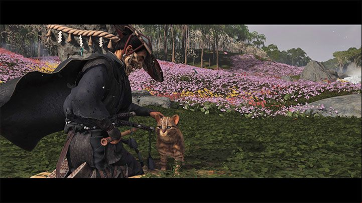 On Iki Island, you wont encounter any new foxes like in the basic campaign, but there are 3 new friendly species of animals which you can pet once you meet the particular requirements - Ghost of Tsushima Iki Island: How to tame animals? - FAQ - Ghost of Tsushima Guide, Walkthrough