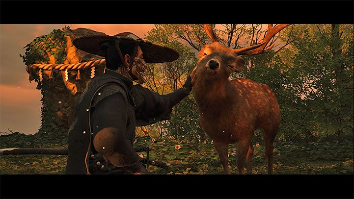 2) Deer - Ghost of Tsushima Iki Island: How to tame animals? - FAQ - Ghost of Tsushima Guide, Walkthrough