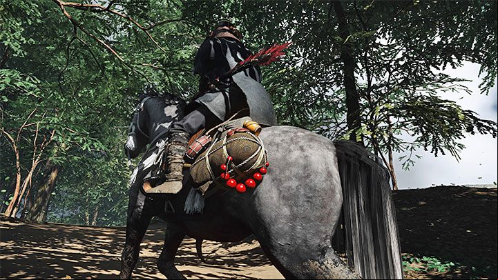 You will obtain a very valuable reward for completing this quest, namely the Saddlebag - Ghost of Tsushima Iki Island: The Lightning in the Storm - walkthrough - Main Missions - Ghost of Tsushima Guide, Walkthrough