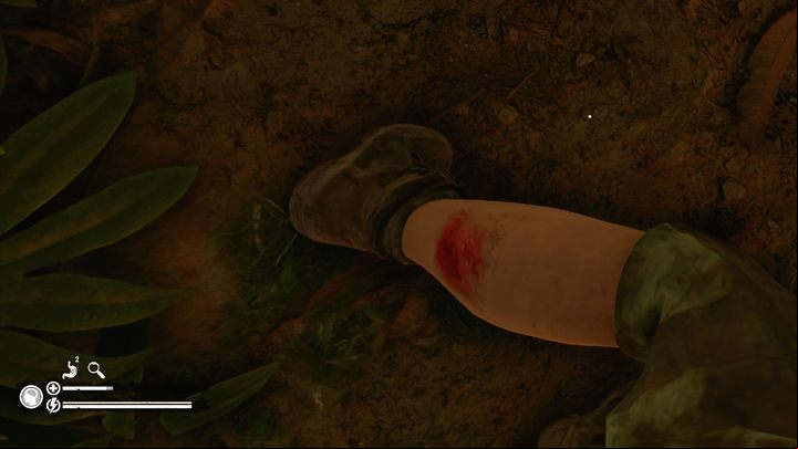 You can examine all four limbs - Green Hell: Body inspection - Mechanics - Green Hell Guide