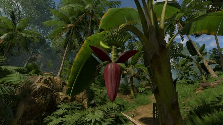 You can get fats from different types of nuts - Green Hell: Hunger, thirst tips - Mechanics - Green Hell Guide