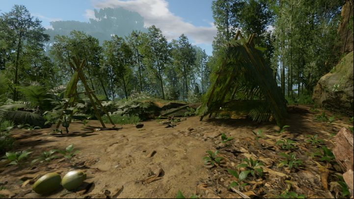Here you will find a blueprint for bamboo smoker and bow - Green Hell: Interesting places - where on the map? - FAQ - Green Hell Guide