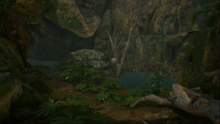 If you go north of the drug camp, you will encounter a small oasis - Green Hell: Interesting places - where on the map? - FAQ - Green Hell Guide