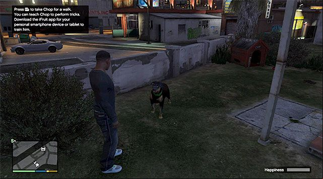 Two basic modes of interaction with the dog is walking him and throwing him a ball - GTA 5: Chop guide - Friendships and Love Affairs - GTA 5 Guide