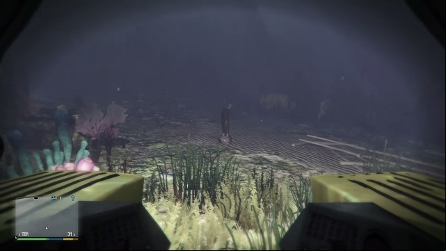 The poor girl can be found on the very bottom of the ocean. - GTA 5: Dead woman - Murder Mystery - GTA 5 Guide